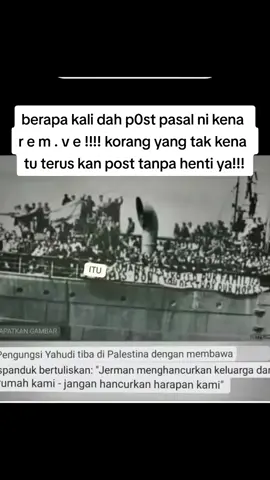 #palestine 