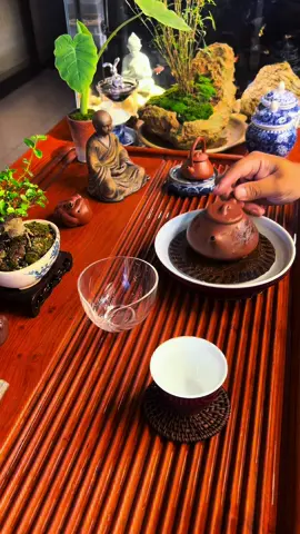 Nhẹ nhàng ngày mới bàng chén trà Tà Xùa vụ thu , mời ae trà hữu . Chợt nhận ra mình nghiện Tà Xùa mất rồi   #CapCut #trahuuquan #uốngtrathoi 