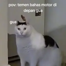 g paham cok 😭#motor #sir #hah #meme #bingung 