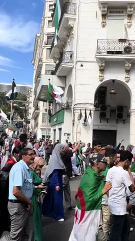 #فلسطين🇵🇸  #مظاهرات #الجزائر🇩🇿  #غزة_العزة🇵🇸 