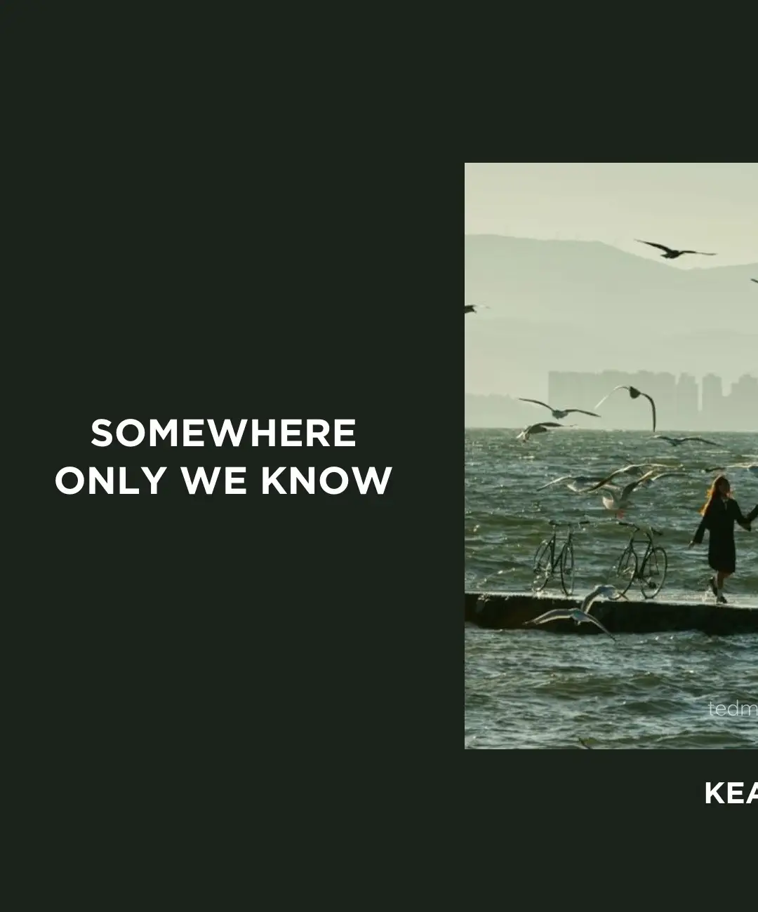 Somewhere Only We Know | #keane #lyrics #spotify #tedmusicc #fyp 