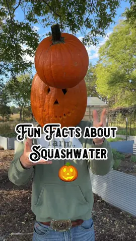 I am now and forever referring to pumpkins as squashwater, because they are technically a winter squash and made up of 90% water 💦If you want to hear a few more fun facts about squashwater, check out the full video and let me know your favorite pumpkin fun fact! 🎃 #pumpkin #pumpkins #pumpkinpatch #pumpkinseason #fruit #sqaush #water #food #Foodie #history #pumpkincarving #fall #fact #facts #funfact #didyouknow #plant #wow #cool #lol #education #homestead #homesteading #foodblogger #plantsoftiktok #pumpkinseason #pumpkinspice #shilohfarm  