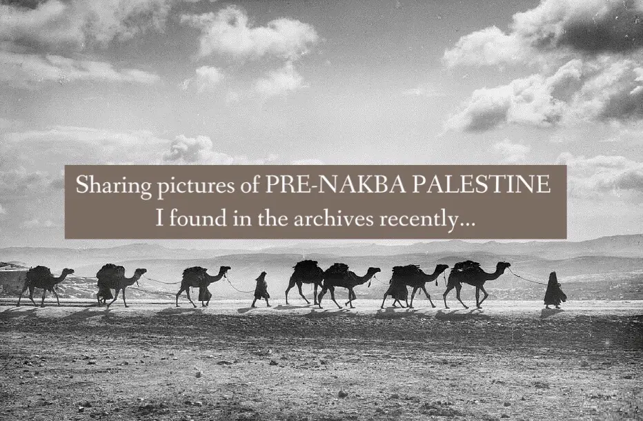 By “In the archives,” I meant online sources | “In a matter of seven months, 531 villages were destroyed and eleven urban neighborhoods emptied.” - Ilan Pappe, an Israeli historian in his book “Ten Myths about Israel” #palestine #zionismisnotjudaism #freepalestine #palestinehistory #colonialism #fromtherivertothesea 