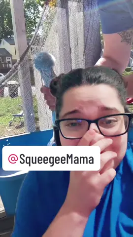 #greenscreenvideo 