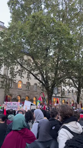 Free Palestine!❤️🇵🇸🤲🏼 #bonn #demonstratie #freepalestine🇵🇸❤️ #freepalestine 
