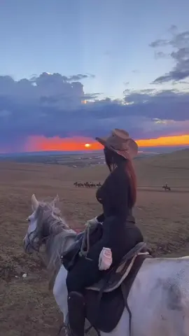 #divorcedwoman #mongolian #horseriding #underthesunset 