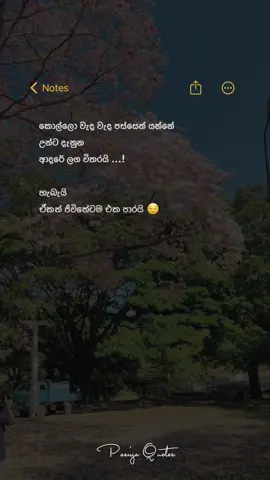 එකපාරයි 😊 #foryou #pasindu_lakshan #pasiya_quotes #foryoupage 