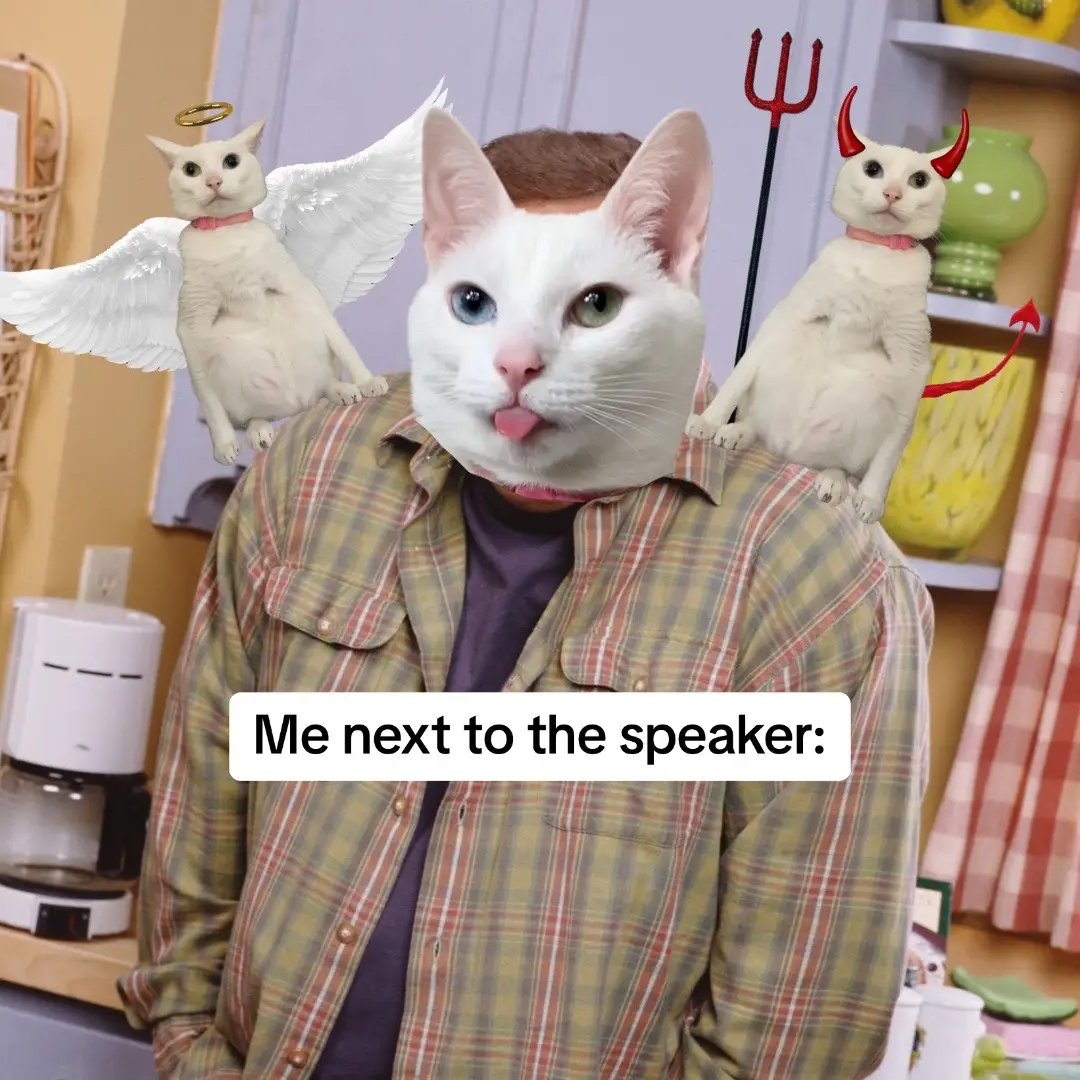 It be like that sometimes #cattok #catsoftiktok #menexttothespeaker 