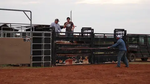 109 Hot Sauce. Need to settle just a lil bit. Cant wait to see how he does with his first rider, gonna be rank. 