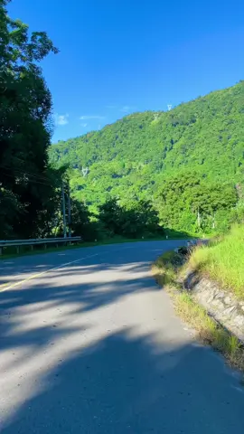 Đổ đèo Ngoạn Mục vào một buổi sáng tinh mơ#langthangdalat🌲🌲🌲 