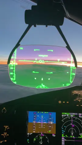 POV: you have the best office view ☕️ #padypa #pilotlife #bestviews #avition #cockpitview✈️ 