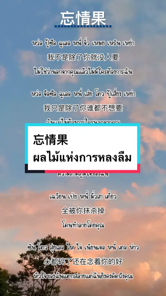 ผลไม้แห่งการหลงลืม #忘情果 #เพลงจีนแปลไทย #chinasong520 #เพลงจีนฮิตในtiktok #แปลเพลงจีน #ผลไม้แห่งการหลงลืม 