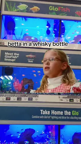 #Meme #MemeCut #CapCut #fish #goldfish #betta 