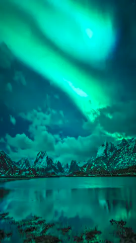 Spectacular Northern lights near Tromsø in Norway 🇳🇴  #Nature #NatureLovers #Nature_Perfection #Nature_Brilliance #NatureShots #NaturePhotography #NatureView #World #Travel #DiscoverGlobe #NatureVibes  #Traveler #ReelItFeelIt #Reels #Landscape #LandscapePhotography #LandscapeLovers #LandscapeHunter #Sky #Landscape_captures #Scenery #BeautifulScenery #Fyp #Spectacular #NorthernLights #Aurora #AuroraBorealis #Tromsø #NorwayNature #Norway