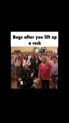 all those rolly pollies and shiz #creep #radiohead #silly #buggie #CapCut 