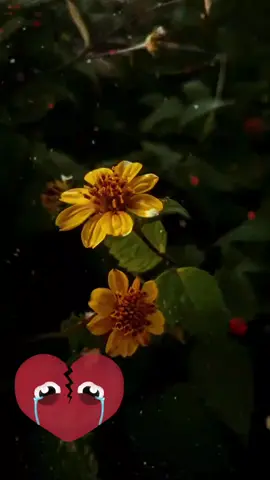 امي يا نضر عيوني 💚🌼💝🎀🫡