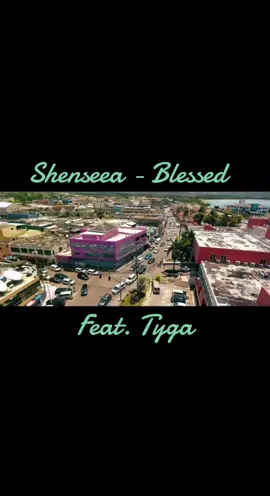 #musicentertainment #fypシ #viral #shenseea 