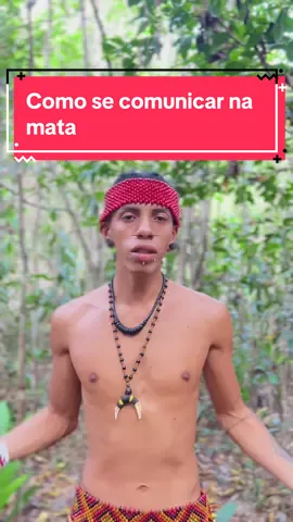 Assista também@xᴏʜãʜɪ🏹  Como os indígenas pataxó se comunicam nas matas 🛖🌳