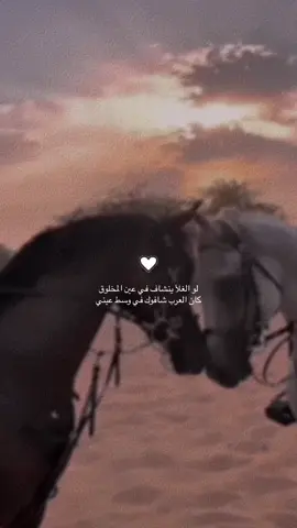 #انت_مكانك_وسط_العيون #زارني_والشوق_في_عينه🥹💔 #الشعب_الصيني_ماله_حل😂😂 #مشاهير_تيك_توك #خيل_وخياله🐎 #خيل #خيل_عربي_اصيل #ستوريات #اكسبلور #ستوريات #foryou #@ملہٰكہٰةة قلہٰبٰٰوو @ملہٰكہٰةة قلہٰبٰٰوو 