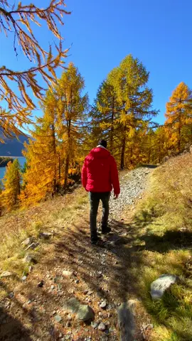 📍 Lake Sils, Switzerland 🇨🇭 Follow us for daily Swiss Content 🇨🇭 📌 Save this for your (next) trip to Switzerland 🇨🇭 🎥 by: @swisswoow  #switzerland #mountains #schweiz #swissalps #myswitzerland #grindelwald #nature #inlovewithswitzerland #swiss #alps #wanderlust #visitswitzerland #travel #suisse #landscape #naturephotography #blickheimat #lake #tiktokschweiz #swissmountains #switzerlandwonderland #switzerland_vacations #graubünden #engadinstmoritz #engadin #oberengadin #silsersee #sils #lakesils #stmoritz 