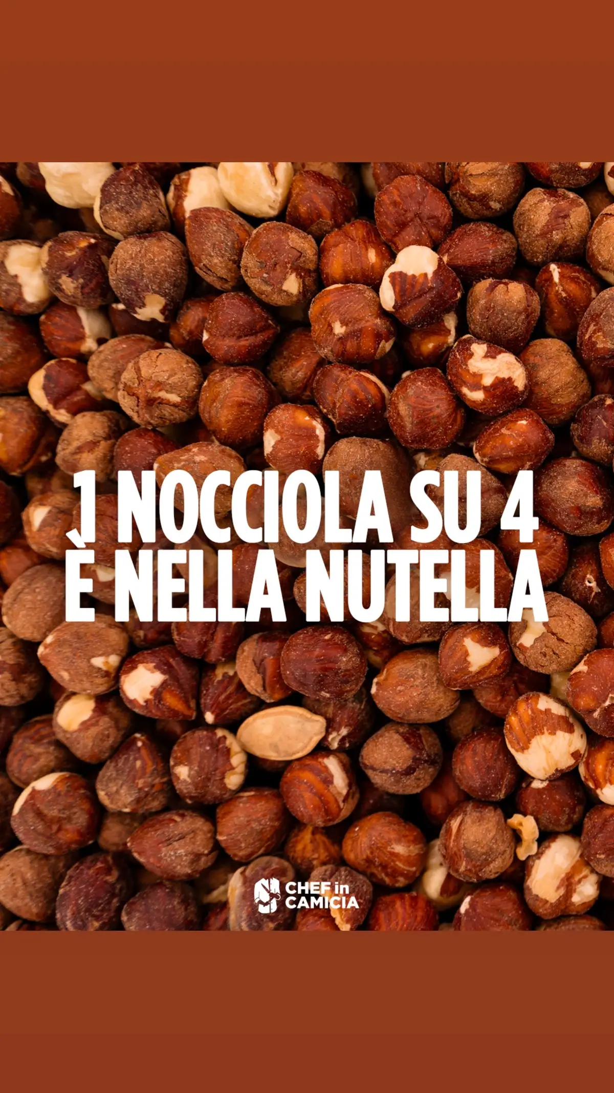 Non hai letto male, Ferrero acquista un quarto della produzione mondiale di nocciole. Con la cifra record di 225mila tonnellate l'anno l'azienda madre della famosissima Nutella si aggiudica il 25% del totale delle nocciole nel mondo. Con questa cifra. Ferrero è l'azienda che acquista più nocciole in assoluto. Le nocciole nella nutella provengono principalmente da Turchia, Italia, Cile e USA. In Italia ci sono 70mila ettari di terreno per la coltura della nocciola, e producono 110mila tonnellate all’anno. Non abbastanza per soddisfare il bisogno degli stabilimenti che ogni anno producono 180mila tonnellate di Nutella. Proprio per questo Ferrero ha avviato il Progetto Nocciola Italia che ha l’obiettivo di aumentare la produzione di nocciole nella penisola del 30%.  - #ChefinCamicia #AmazingFood #GoodFood #ItalianFood #Nocciole #LearnOnTikTok