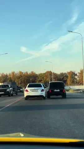 ##суета ##нива##🇦🇲💪