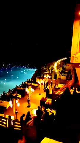 Moon Night, 🌜 🦢🐧 #karachi #sea #seafood #hotel #duck #moon #bird #Love #fyp #night #views 