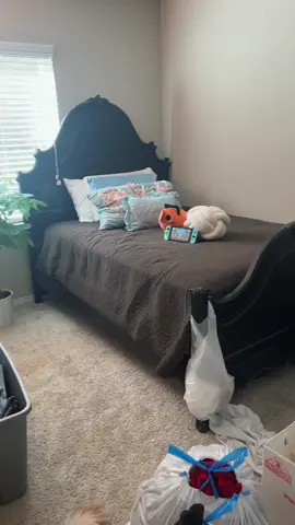 Room Tour #RoomTour #cozy #cozygames #cozygamer #coffee #videogames #Lifestyle #fyp #dogsoftiktok #relax #coop 