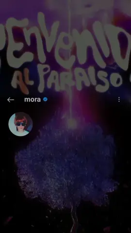 Hola, te invito a adentrarte en mi paraíso músical. 🫶🏻 Mora - bienvenido al paraíso #mora #bienvenidoalparaiso ##paraiso #estrella #microdosis #primerdiadeclases #letra #música #Viral #fypシ #fyp 