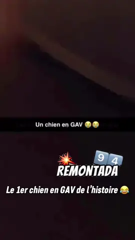 Le 1er chien en GAV de l’histoire 😂😂😂😂 #chien #dog #police #snapfr #😂😂😂 #mdrr 
