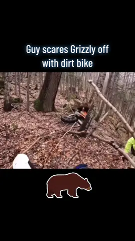 #grizzlybear #grizzly #bear #grizzlybears #grizzlies #bears #wildlife #wildanimal #wildanimals #nature #bearsoftiktok #fyp #foryou #foryoupage #fypシ #viral #viralvideo #viraltiktok 