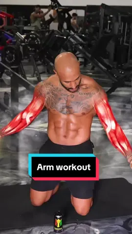 Grow massive arms 💪🏾 (5 exercises) Here’s a complete biceps/triceps workout that you can do at home or at the gym. Working on your knees is a great way to isolate the muscle and minimize momentum. Give it a try, and let me know if you have any questions.👇🏾 If you want me to personally help you Burn 10-25lbs of Fat & Build Lean Muscle in 90 days🎯 DM me “TRANSFORMATION” #biceps #armworkout #bicepsworkout #fitnesstips #gymworkout #triceps #miami #miamicreator