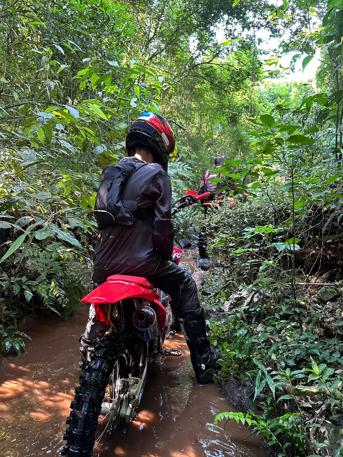 Caminho sem volta 🚀❤️. #trilha #moto #crf250f #trilhaoroia #offroad 