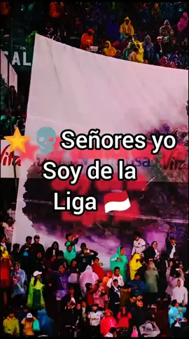 COMPARTE 🎺🇲🇨💀#muerteblancaecuador🇵🇱🇵🇱 #muerteblancabarrabrava #ligadequito🇦🇹 #ligadequito🇪🇨 #ldu #ligadequitoreydecopas #muerteblancaldu #muerteblanca #ligadequito #lduquito 
