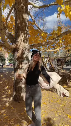 a successful day trip to breckenridge📍 