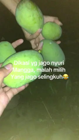 Info yg ada mangga nya dong#melawi #ildaceriku #nangapinoh 