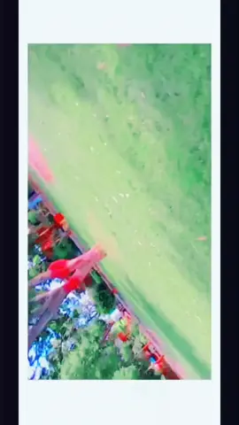 1 million follews#viraltiktok #unfrezzmyaccount #foryou #foryou #saraikisong #سنگت❣️ #aAzadkhan #سراءیکی_جنون🥀❤ #foryoupage❤️❤️ #viralvideo #1millionfollwers♥️ 