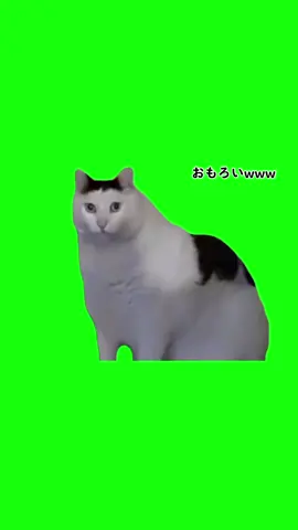 ﾊｧ? #ﾊｧ?
