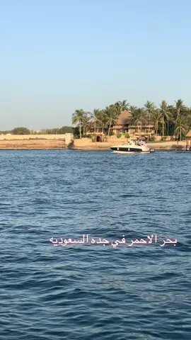 بحر الاحمر جده السعوديه 