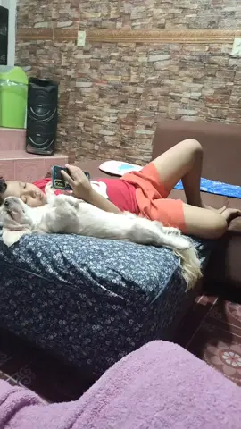 with kua bully 🖤❣️#juancho #doglover #dogsvideo #dogsoftiktok #dogreels 