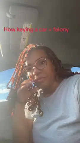 Just leave people’s property alone! #restitution #stalker #keyingcars #fyp #felony #delusional #viral #criminalmischief 