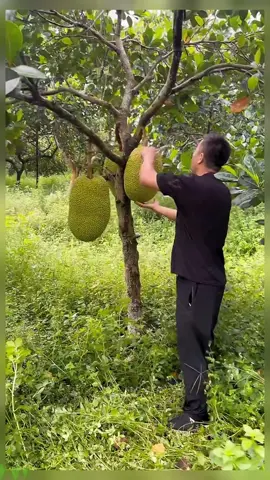 OMG😱✨😂🔥#usa #asmr #uk #fruit #foryou #fyp 