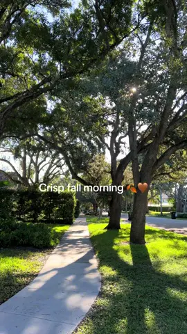 Anyone else love strolling through neighborhoods to see halloween decorations? 🙋🏻‍♀️🎃🍂 #fyp #halloween #morningvlog #fallmorning #morningcoffee #foryou 