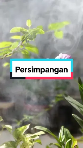 Part. 15 Fariz RM. #capcut #lagucinta #persimpangan 