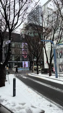 love at frost sight 🌨️ #seoul #korea #snow