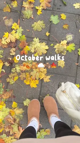 Autumn walks>>🫶🏻🧸🍂🪵 #october #fall #autumnwalks #autumnleaves #🍂 