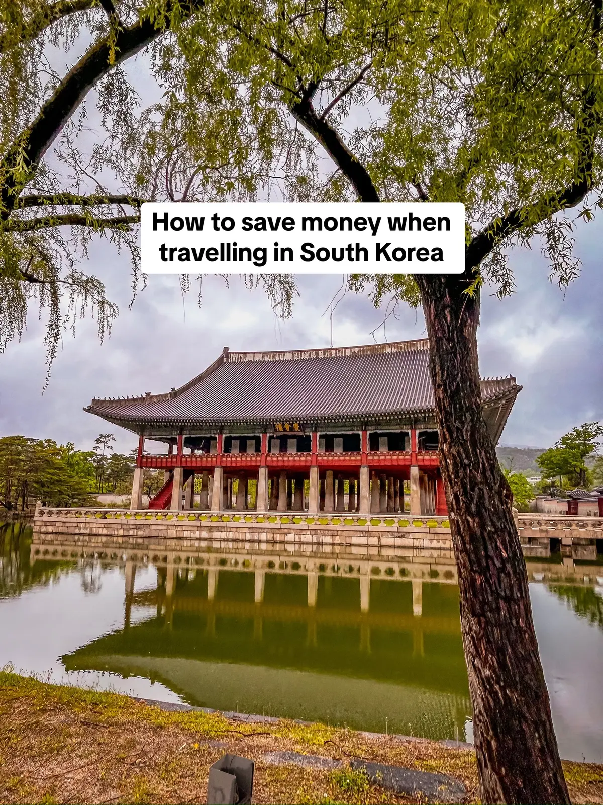 It’s 100% doable! 👌🏻👌🏻👌🏻  #southkoreabudget #backpackingcost #budgettips #travelbudgeting #7elevenkorea 