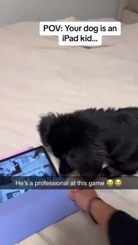 He is actually so good at this iPad game 😭😭😭 #Pubity (@Zeya Nicolas & @NEO 🖤 via @collab)