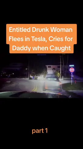 #fyp #foryoupage #karma #drama #dramatic #cops #copsoftiktok #entitled 
