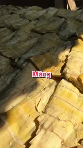 Chán thật sự #mangnua #nongcamquynh #nongsanduoclieuvungcao